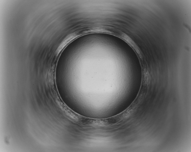 X0000102261002200808011400