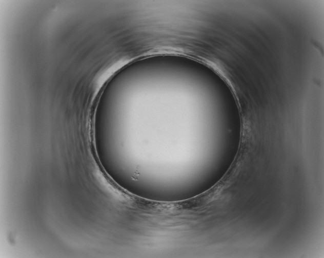 X0000102261003200808011400