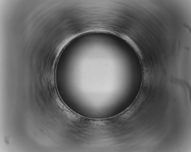 X0000102261004200808011400