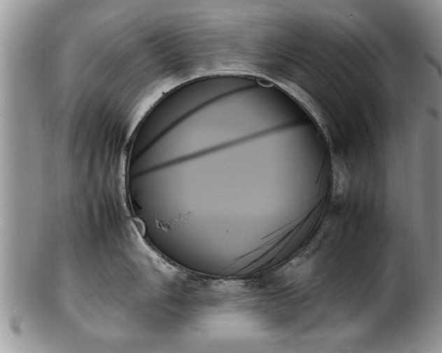 X0000102261006200808011400