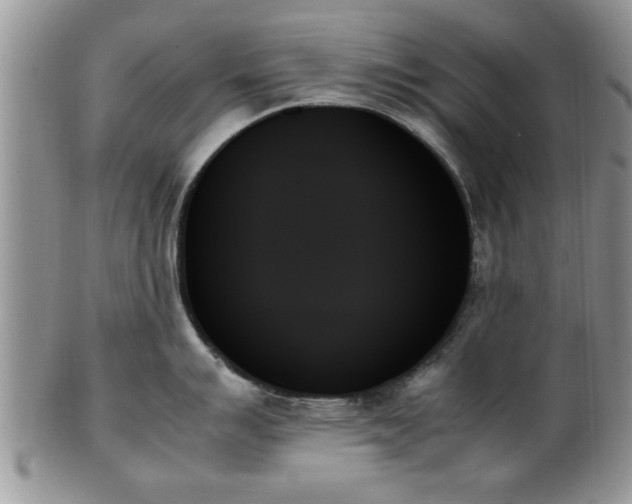 X0000102261007200808011400