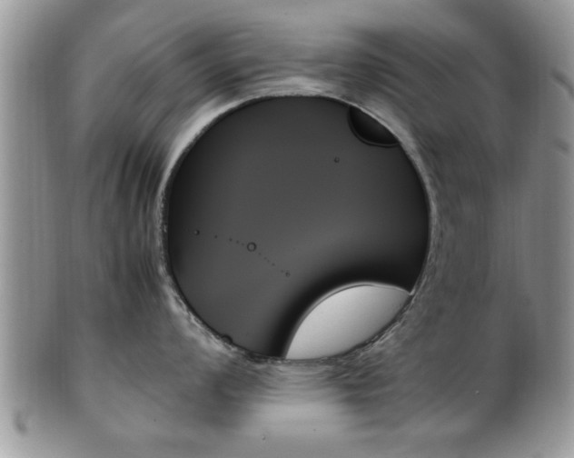 X0000102261008200808011400