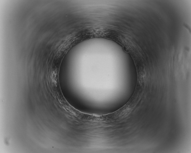 X0000102261010200808011359