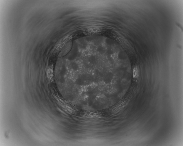 X0000102261011200808011359