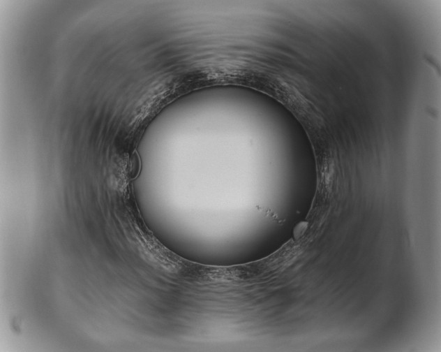 X0000102261012200808011359