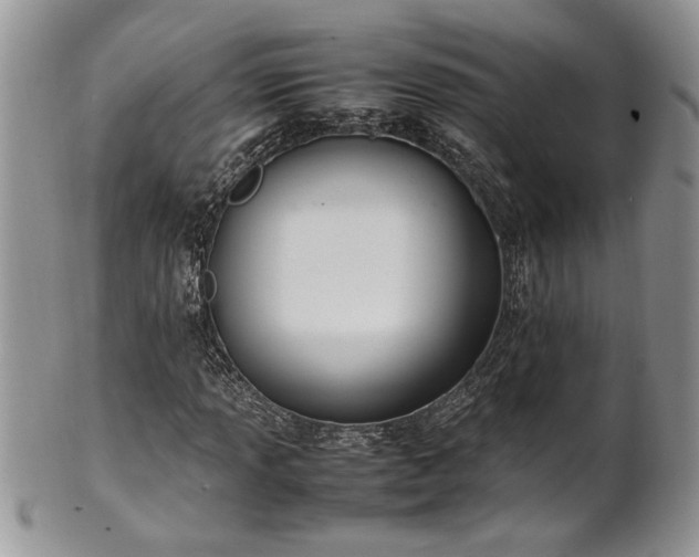 X0000102261013200808011359