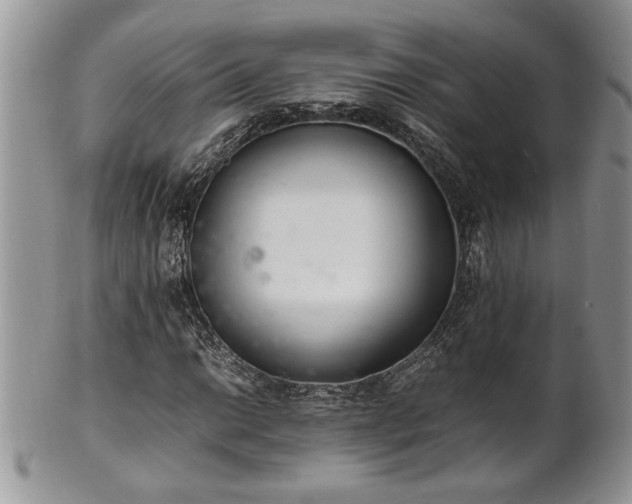 X0000102261014200808011359