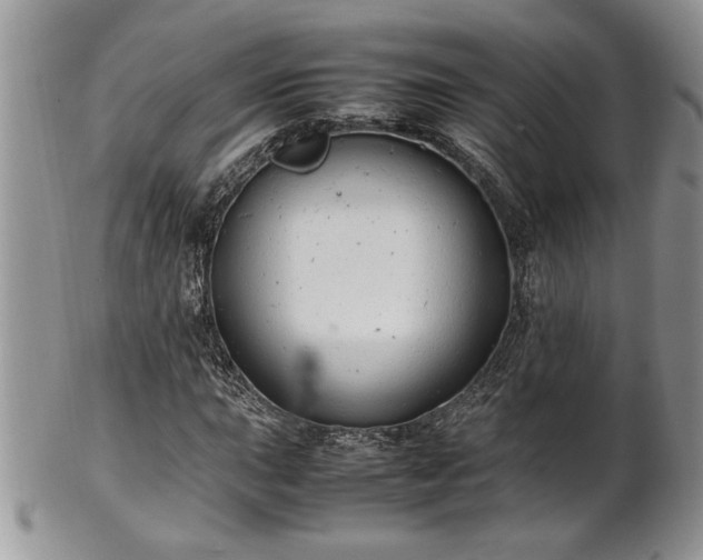 X0000102261015200808011359