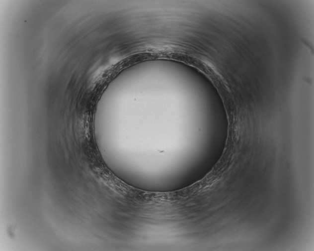 X0000102261016200808011359