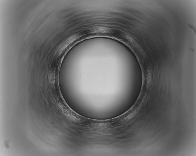 X0000102261017200808011359