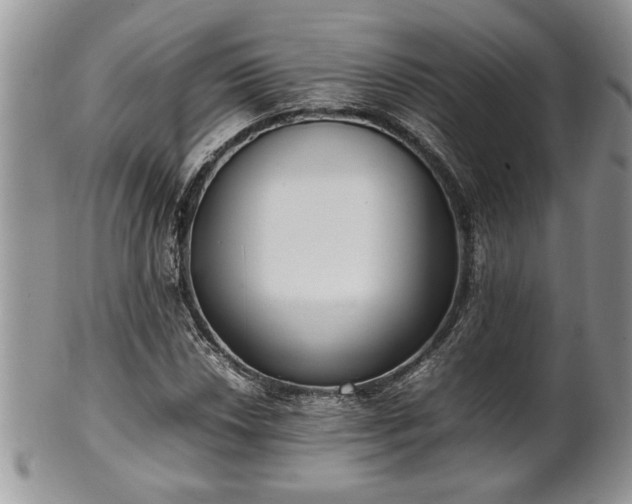 X0000102261018200808011359