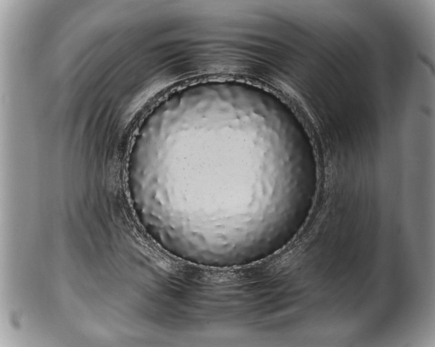 X0000102261019200808011359