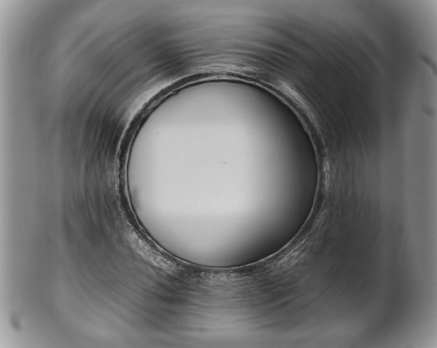 X0000102261020200808011359