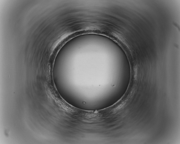 X0000102261021200808011400