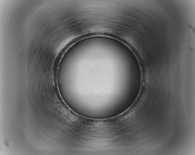 X0000102261022200808011400