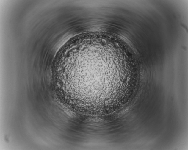 X0000102261023200808011400