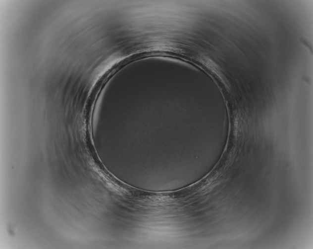 X0000102261024200808011400