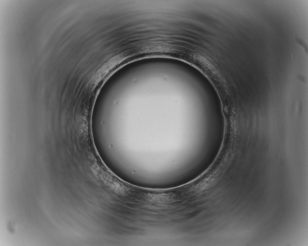 X0000102261025200808011400