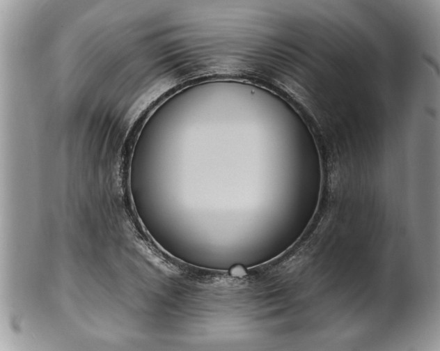 X0000102261026200808011400