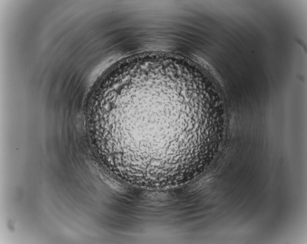 X0000102261027200808011400