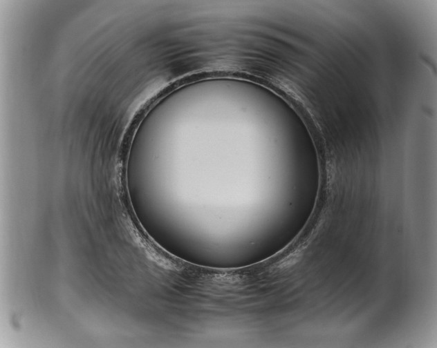 X0000102261029200808011400