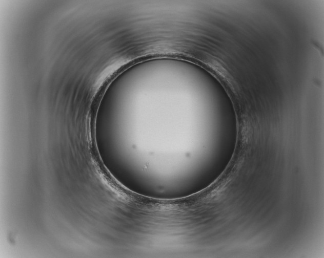 X0000102261030200808011400