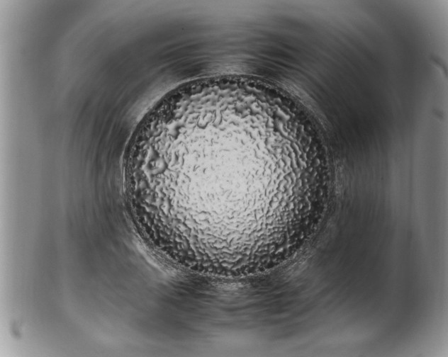 X0000102261031200808011400