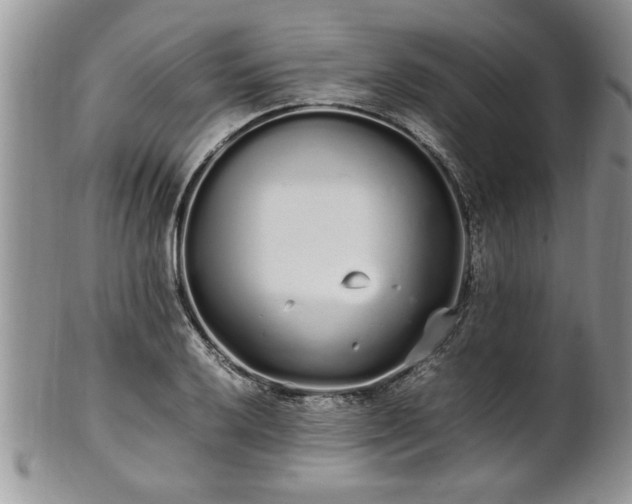 X0000102261032200808011400