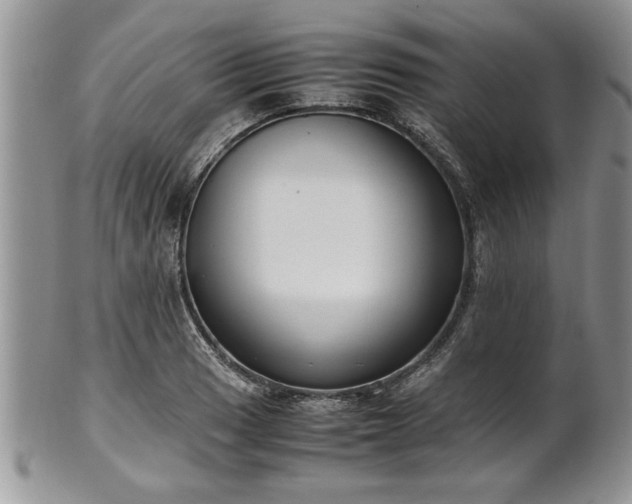 X0000102261033200808011400