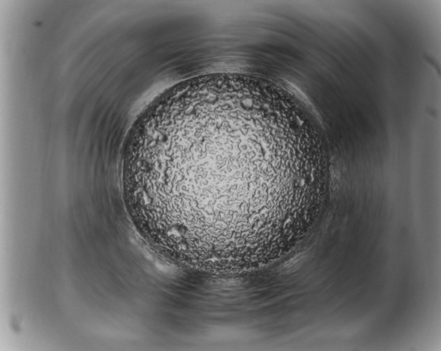 X0000102261035200808011400