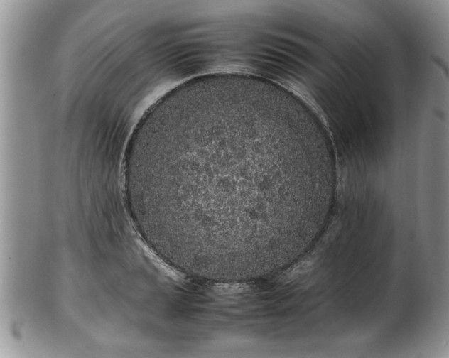 X0000102261037200808011400