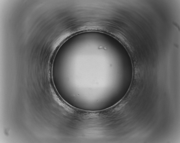 X0000102261038200808011400