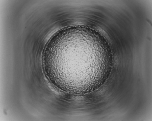 X0000102261039200808011400