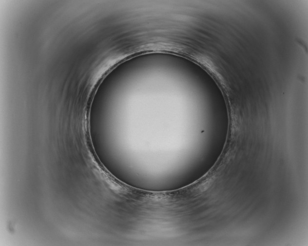 X0000102261040200808011400