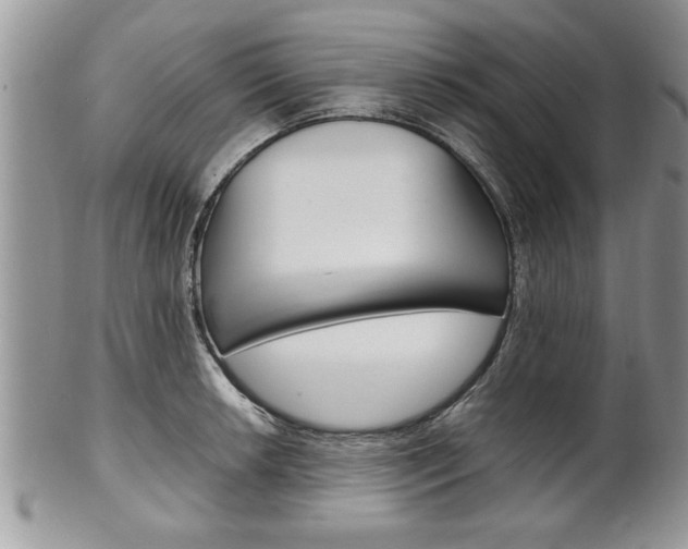 X0000102261042200808011400