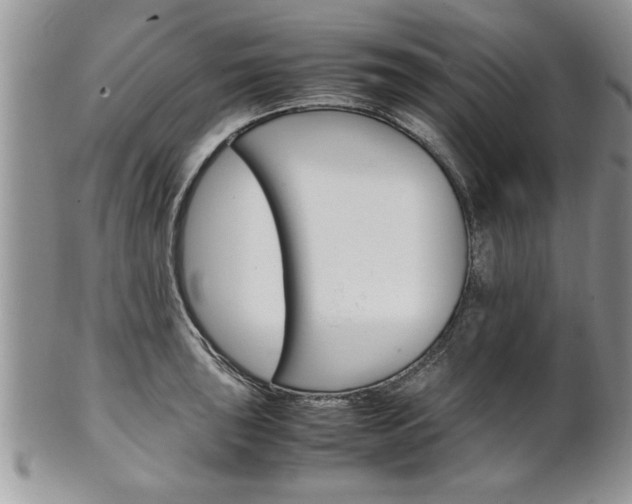 X0000102261043200808011400