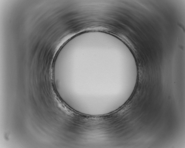 X0000102261044200808011400