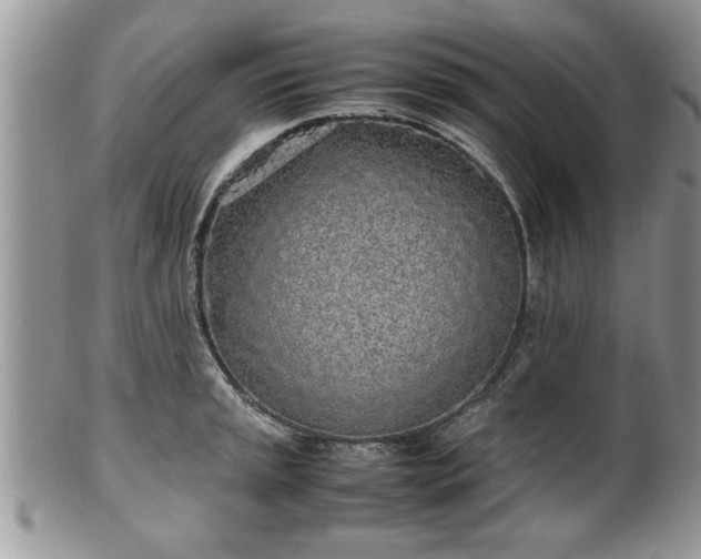 X0000102261045200808011400