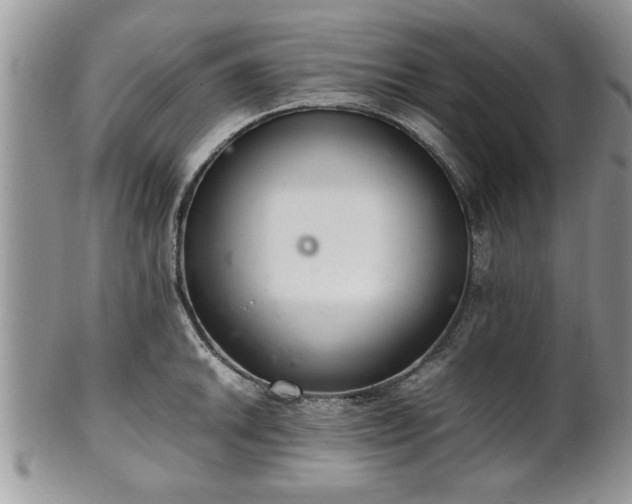 X0000102261046200808011400