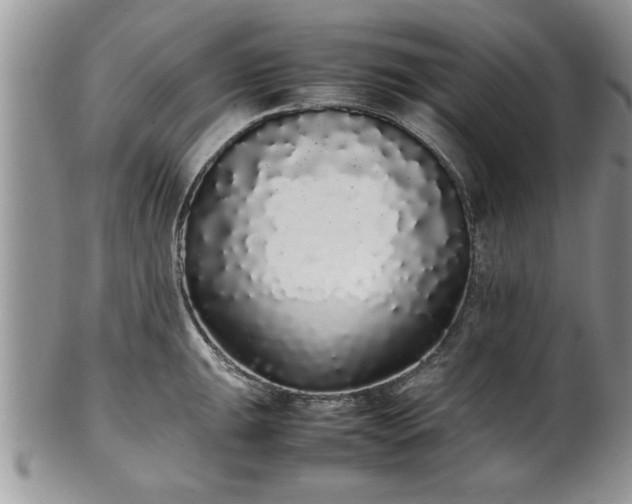 X0000102261047200808011400