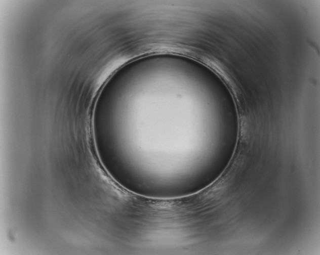 X0000102261048200808011400