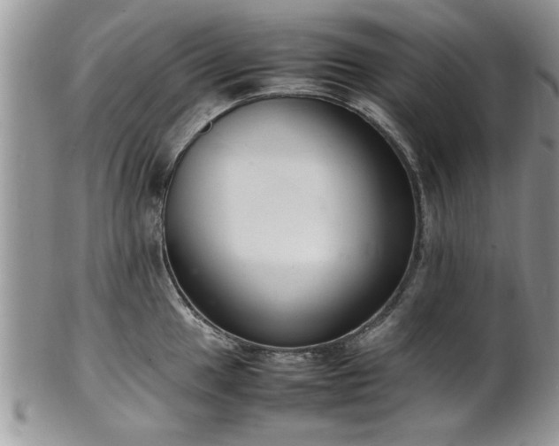 X0000102261049200808011400