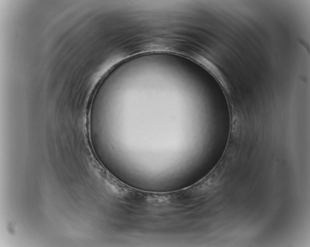 X0000102261051200808011400