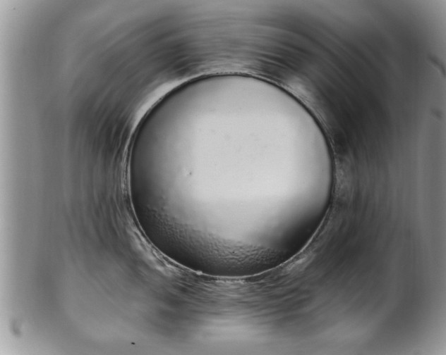 X0000102261052200808011400