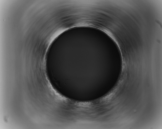 X0000102261053200808011400