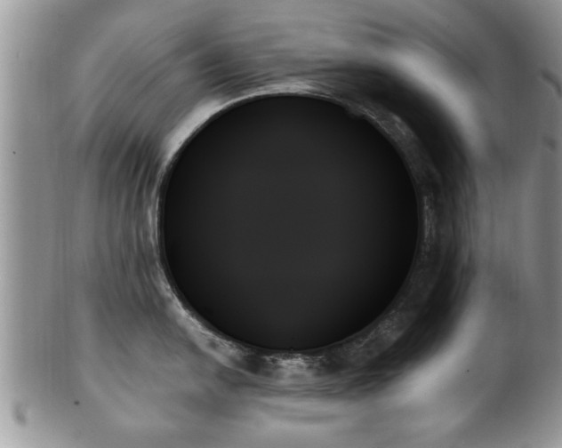 X0000102261054200808011400