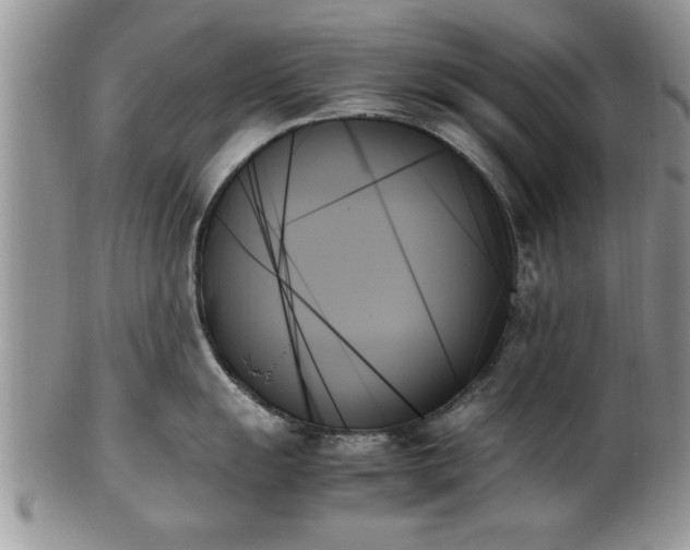 X0000102261055200808011400