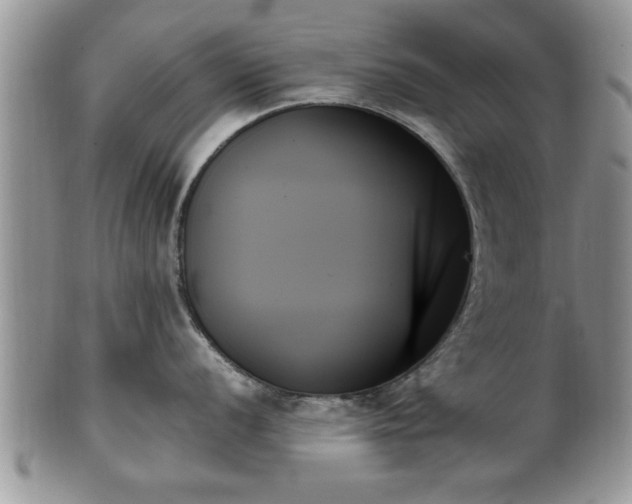 X0000102261056200808011400