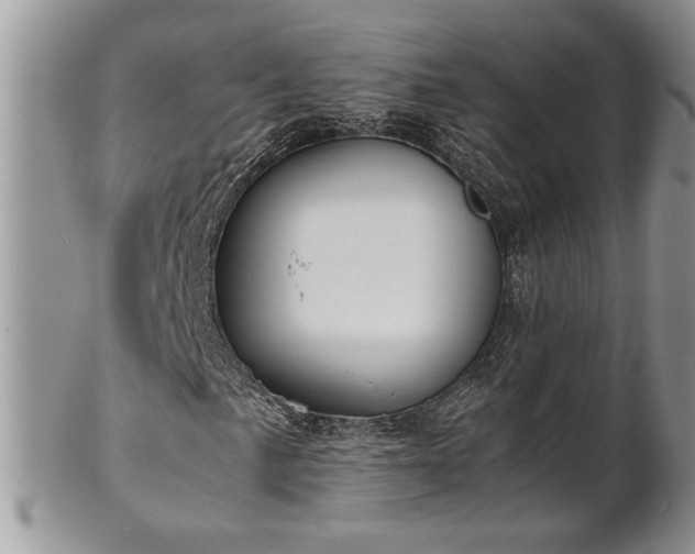 X0000102261057200808011359