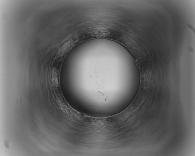 X0000102261058200808011359